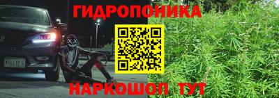 герыч Лесосибирск