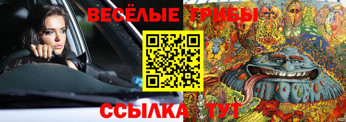 Тихвин  Галлюциногенные грибы ЛСД  Вход с VPN 